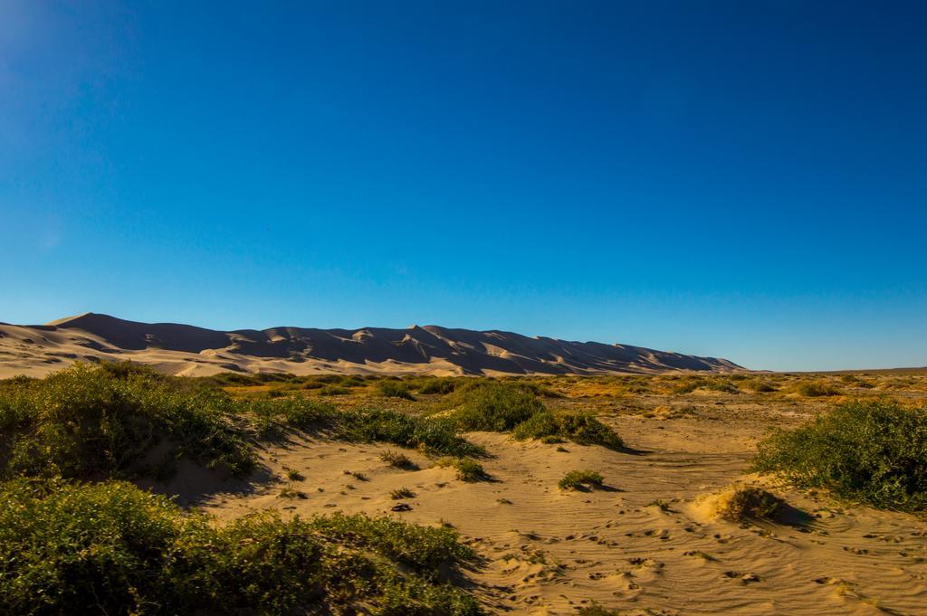 Ub Guesthouse & Tours - Not For Locals Улан-Батор Экстерьер фото
